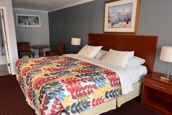 The Islander Motel Santa Cruz image 23